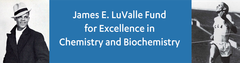 James E. LuValle Fund for Excellence in Chemistry