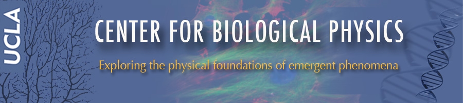 College/ Physical Sciences/ Center for Biological Physics