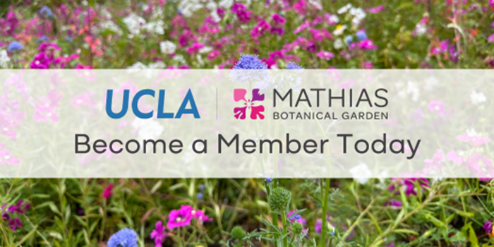 https://www.botgard.ucla.edu/garden-giving/